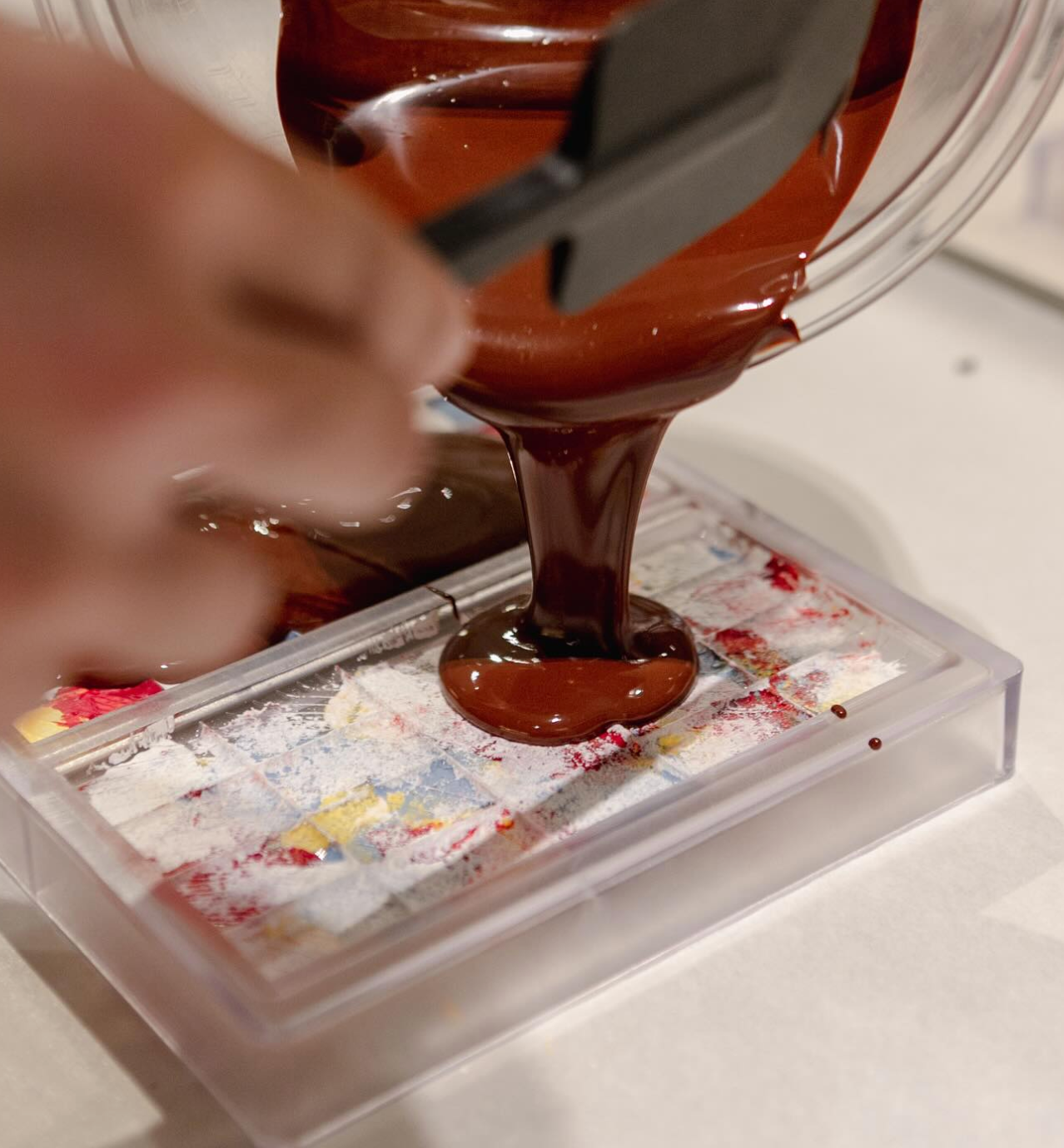 P3 & P4 Science Learning Journey - Mr Bucket Chocolaterie: Matter and Plants