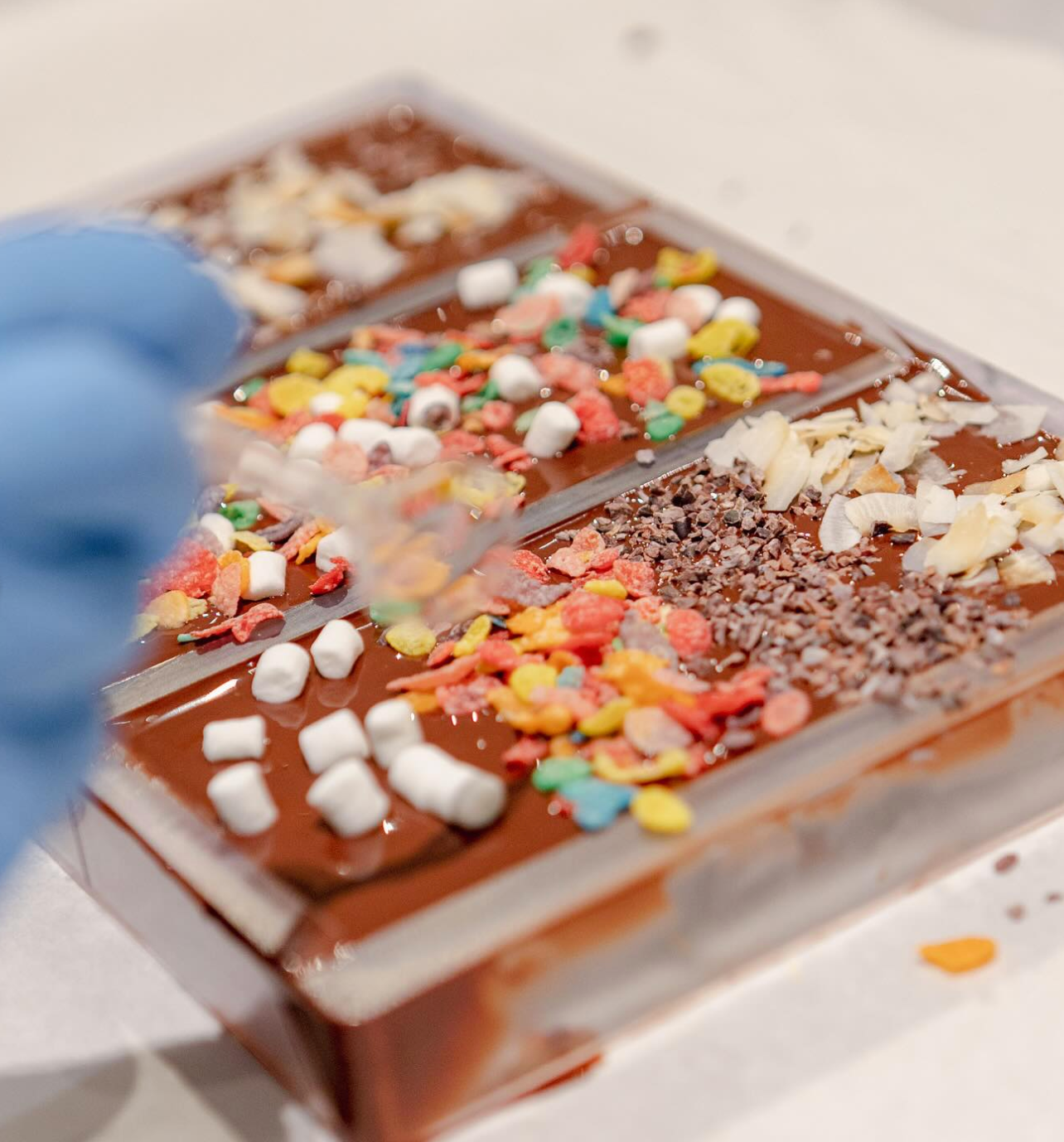 P3 & P4 Science Learning Journey - Mr Bucket Chocolaterie: Matter and Plants