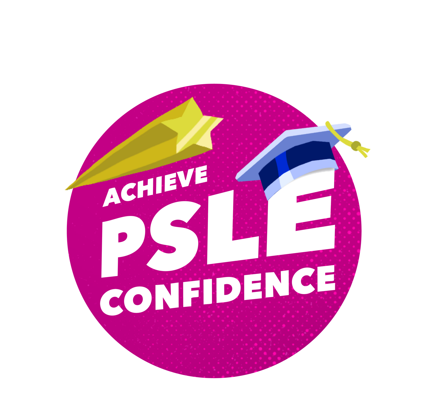 P6 PSLE Holiday Boot Camp