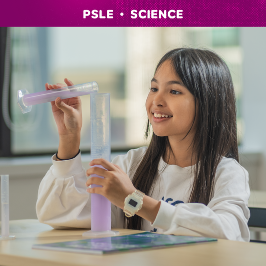 P6 PSLE Science Boot Camp